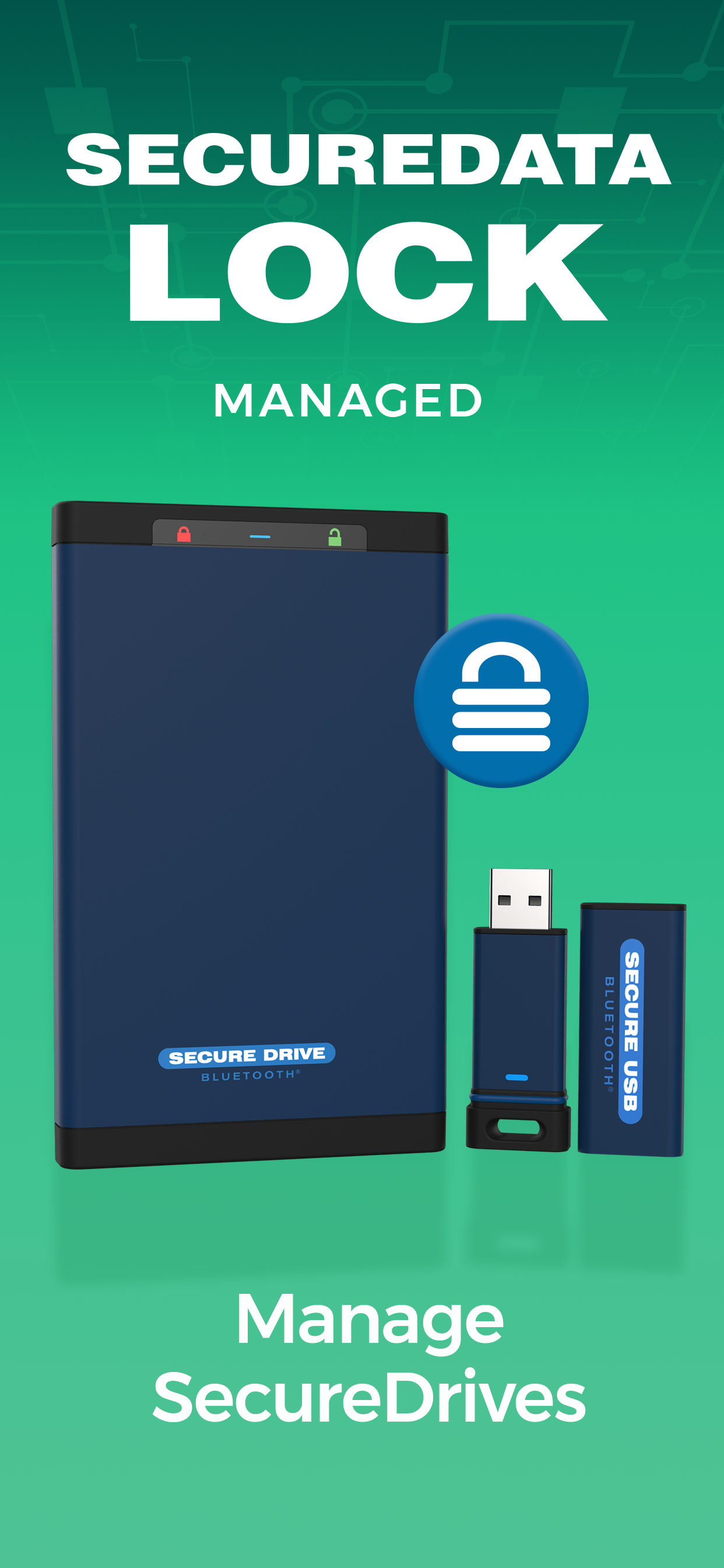 SecureData Lock Managed