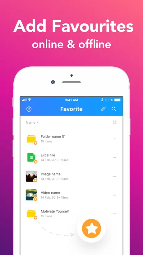 Bolt Offline: Files & Music