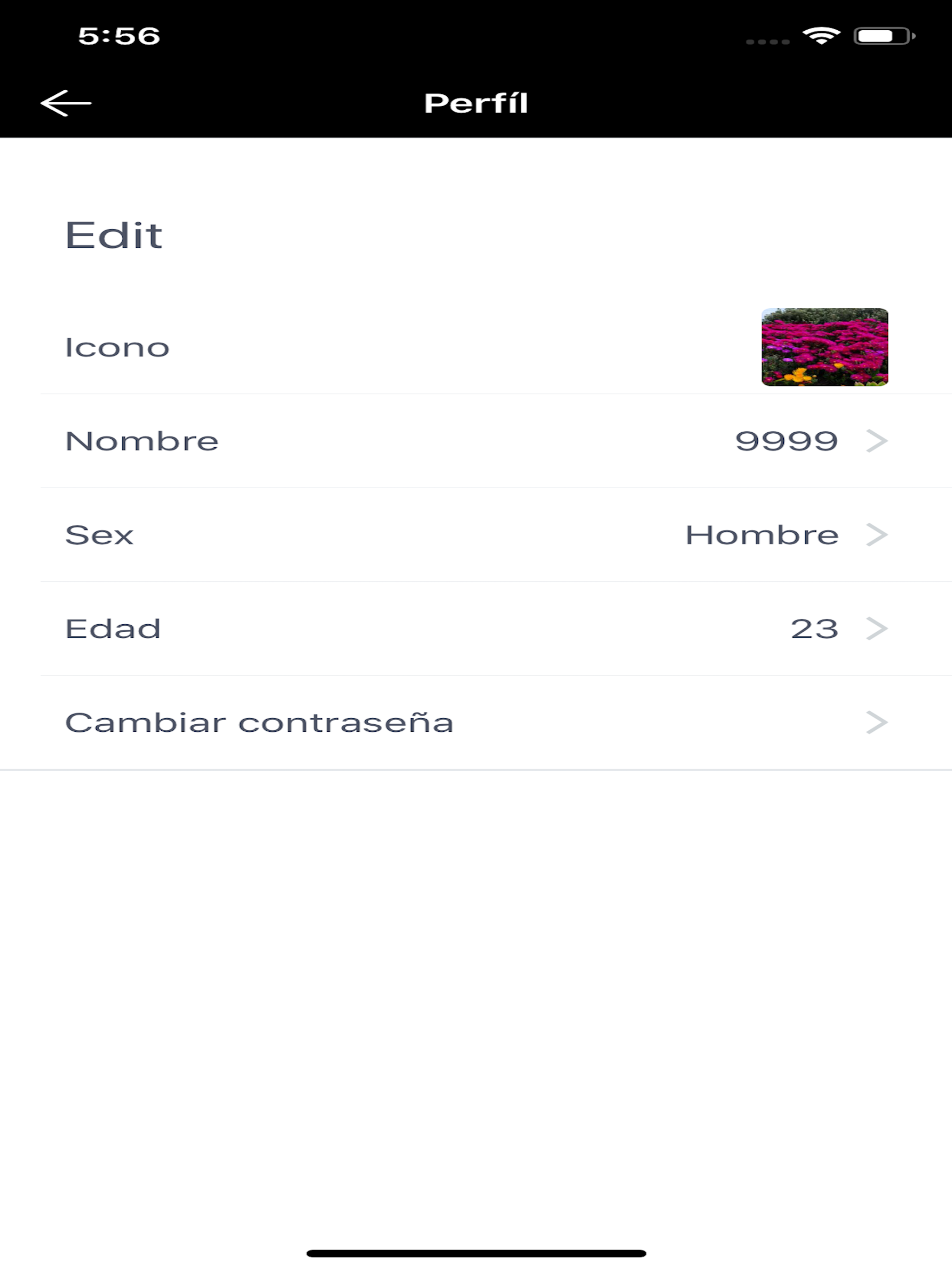 Don Fruta