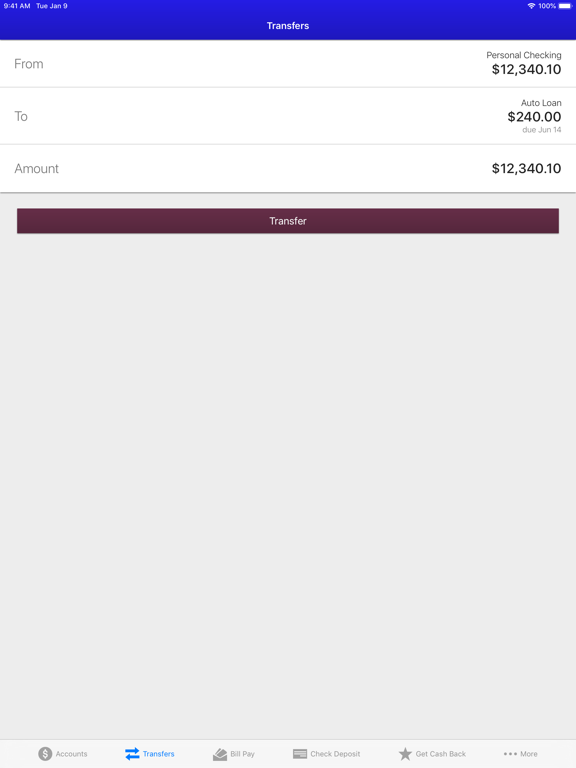 Salyersville National Bank iPad screenshot 4 - Finance app