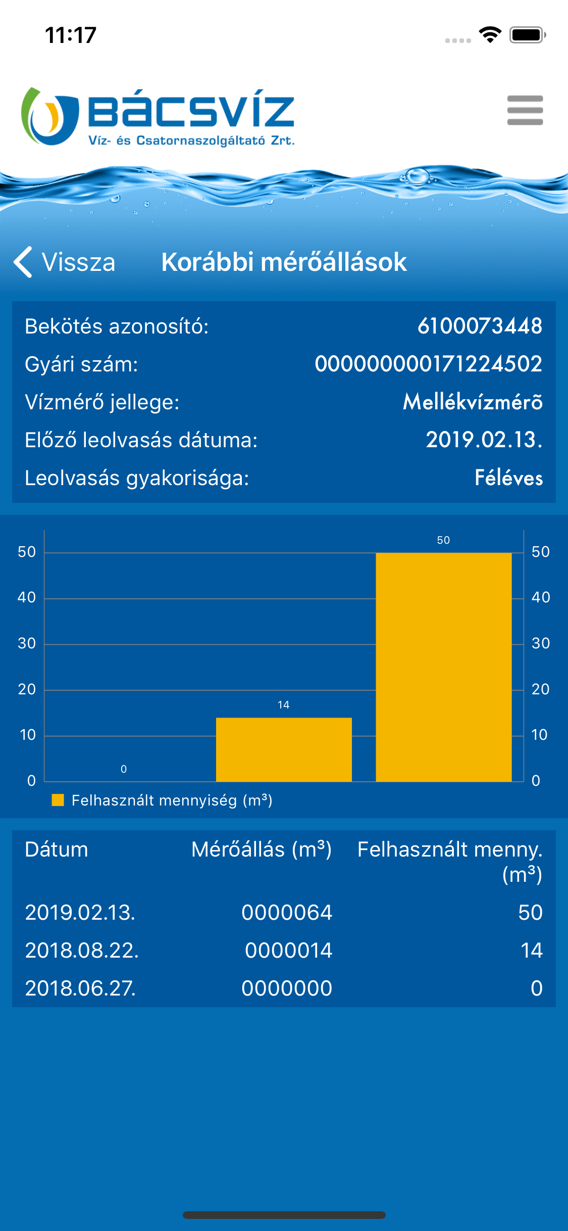 BÁCSVÍZ