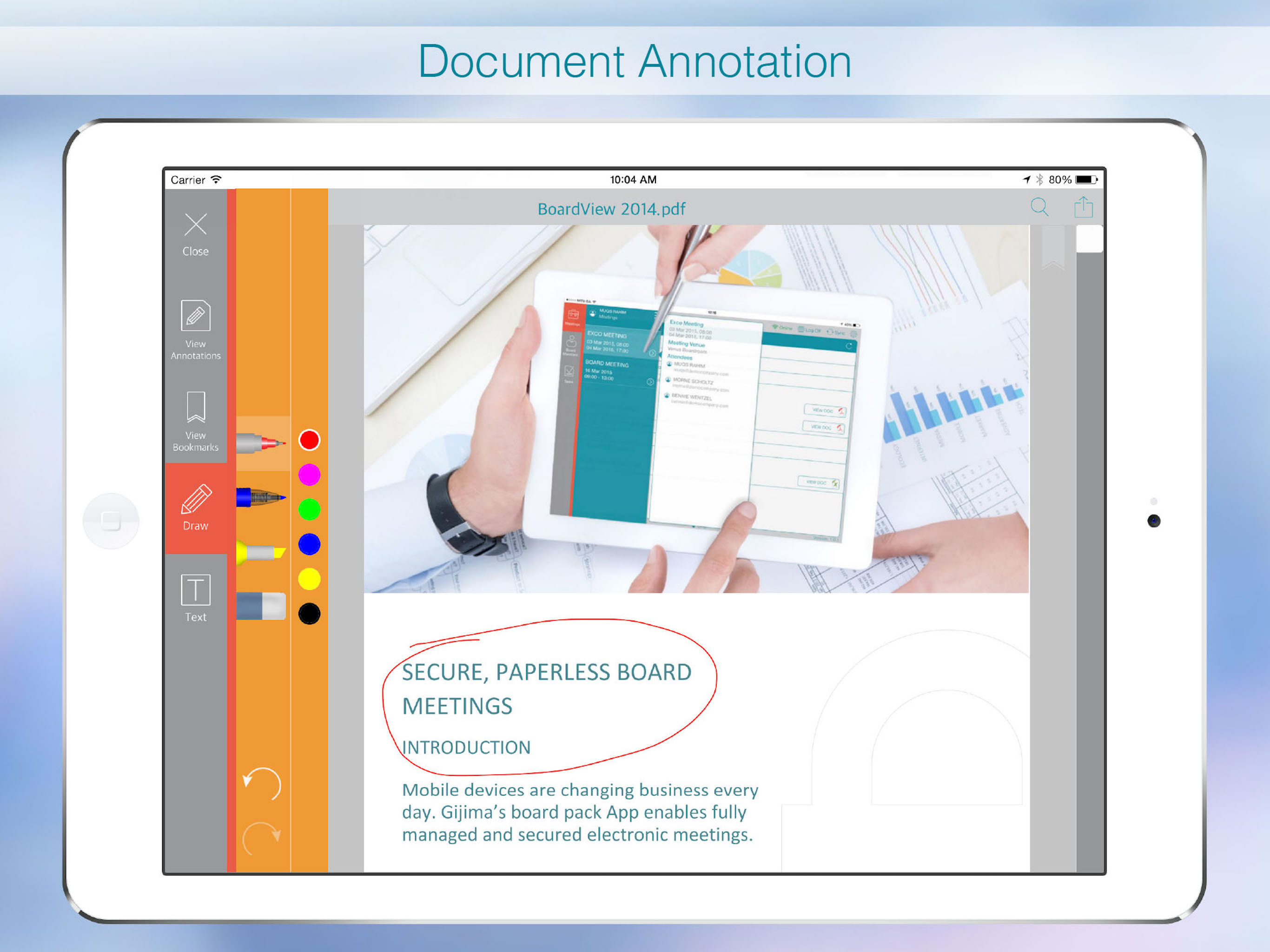 BoardView Professional screenshot 5