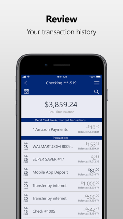 Bank Chandler MN Screenshot