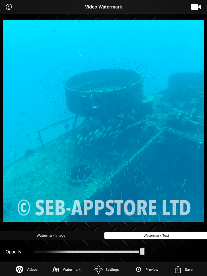 Video Watermark