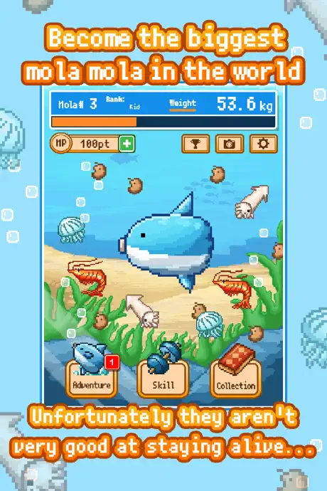 Survive! Mola Mola!
