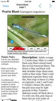 damselflies of mn, wi, & mi problems & solutions and troubleshooting guide - 2