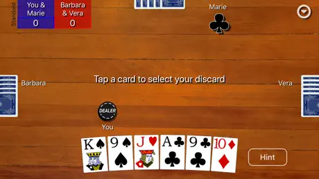 Euchre Card Classic