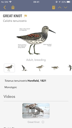 BWP screenshot 3