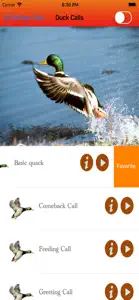 Hunting calls full - screenshot #1 for iPhone