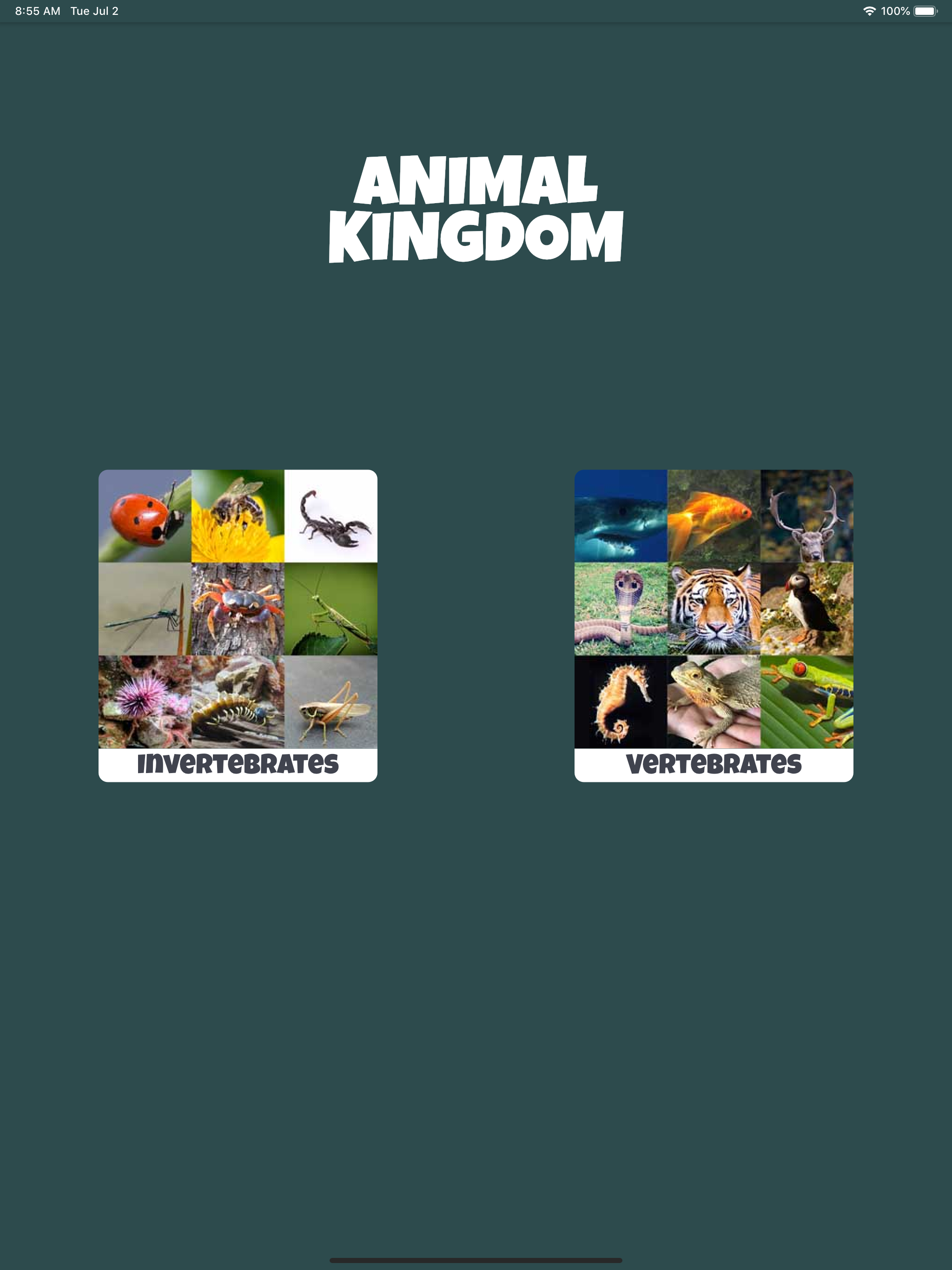 Animal Kingdom (wildlife)