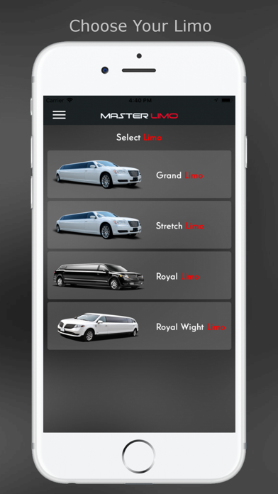 Master Limo screenshot 2