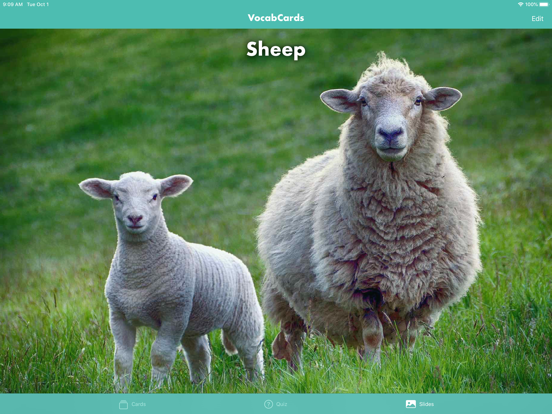 Screenshot #6 pour VocabCards
