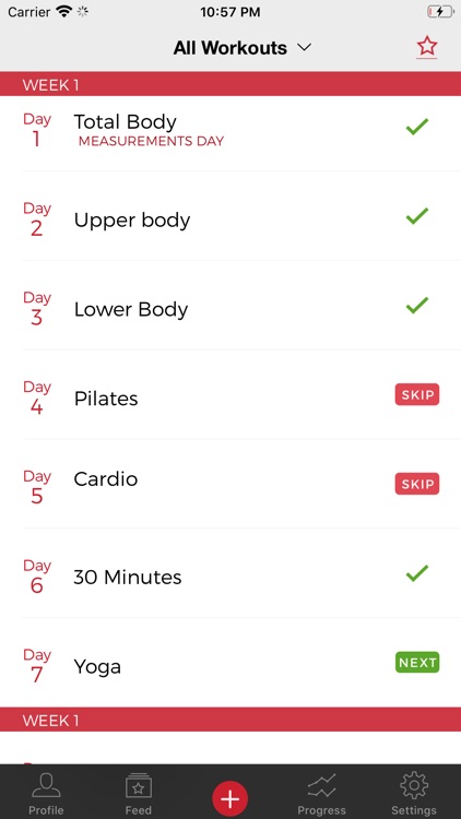 21 Day Container Workout Fix