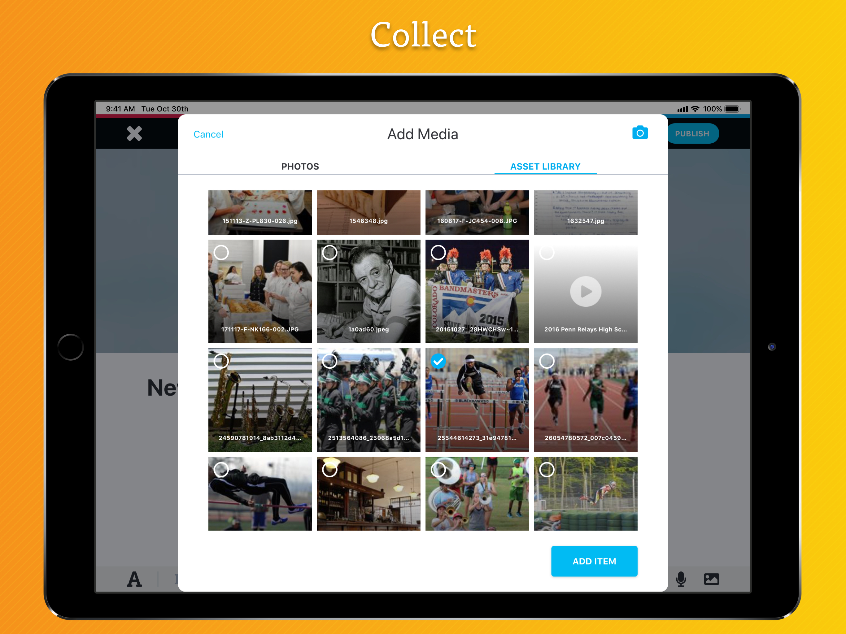 Digital Portfolios by bulb screenshot 9