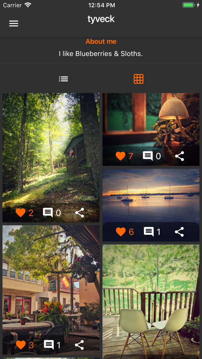 Sparkvillage- Artist Community