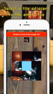 meow fun iphone screenshot 2