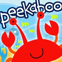 Peekaboo Ocean - Who's Hiding?