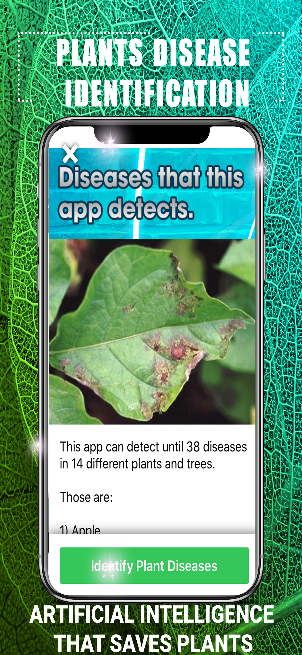 Plants Disease Identification