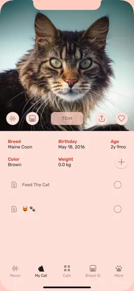 Game screenshot Cat App - Meowly Cats apk