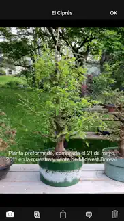bonsai album lite iphone capturas de pantalla 3
