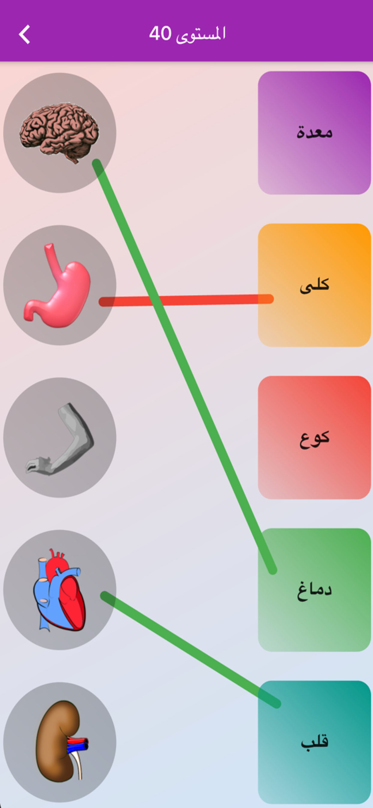 شاطر screenshot 6