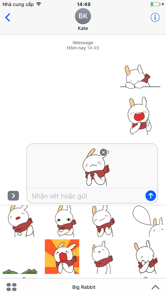 Big Rabbit - 1.1 - (iOS)