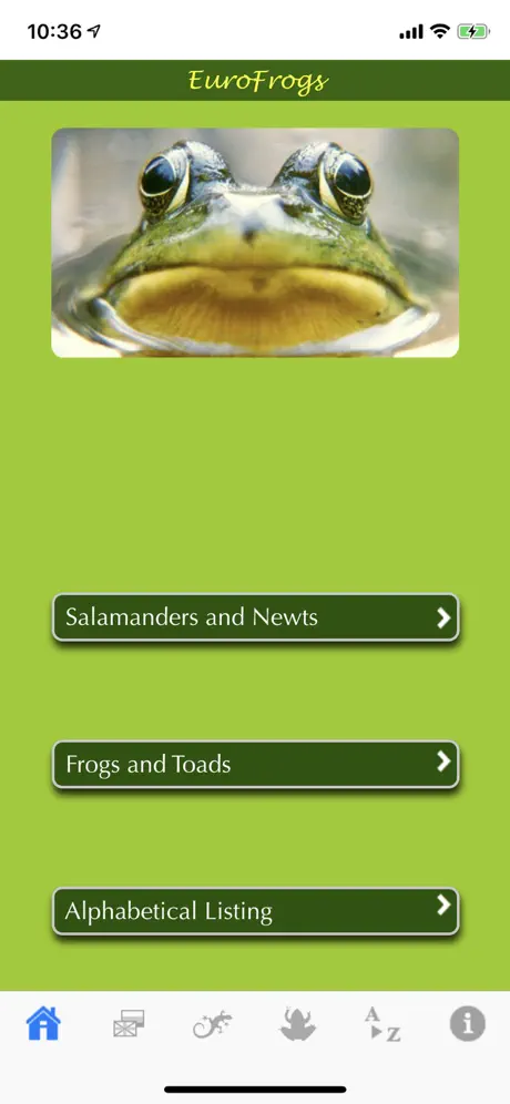 EuroFrogs