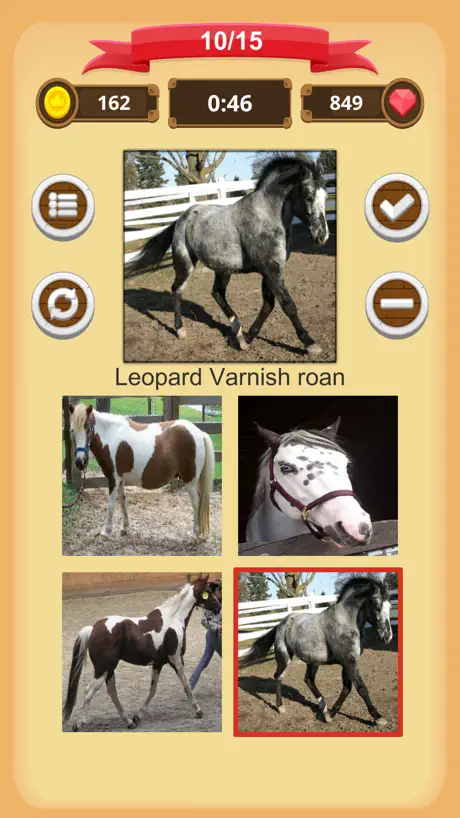 Horse Coat Colors - Quiz