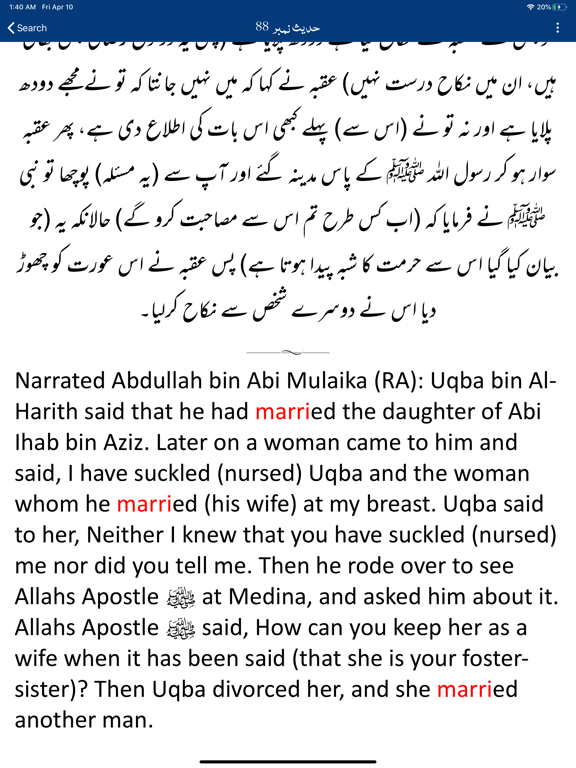 Sahih Bukhari Shareef Urdu iPad screenshot