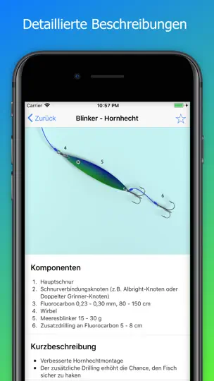 Screenshot von MyRigs - Montagen Für Angler auf dem iPhone 4