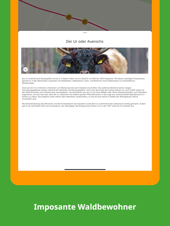 Screenshot #5 pour NGP Senne