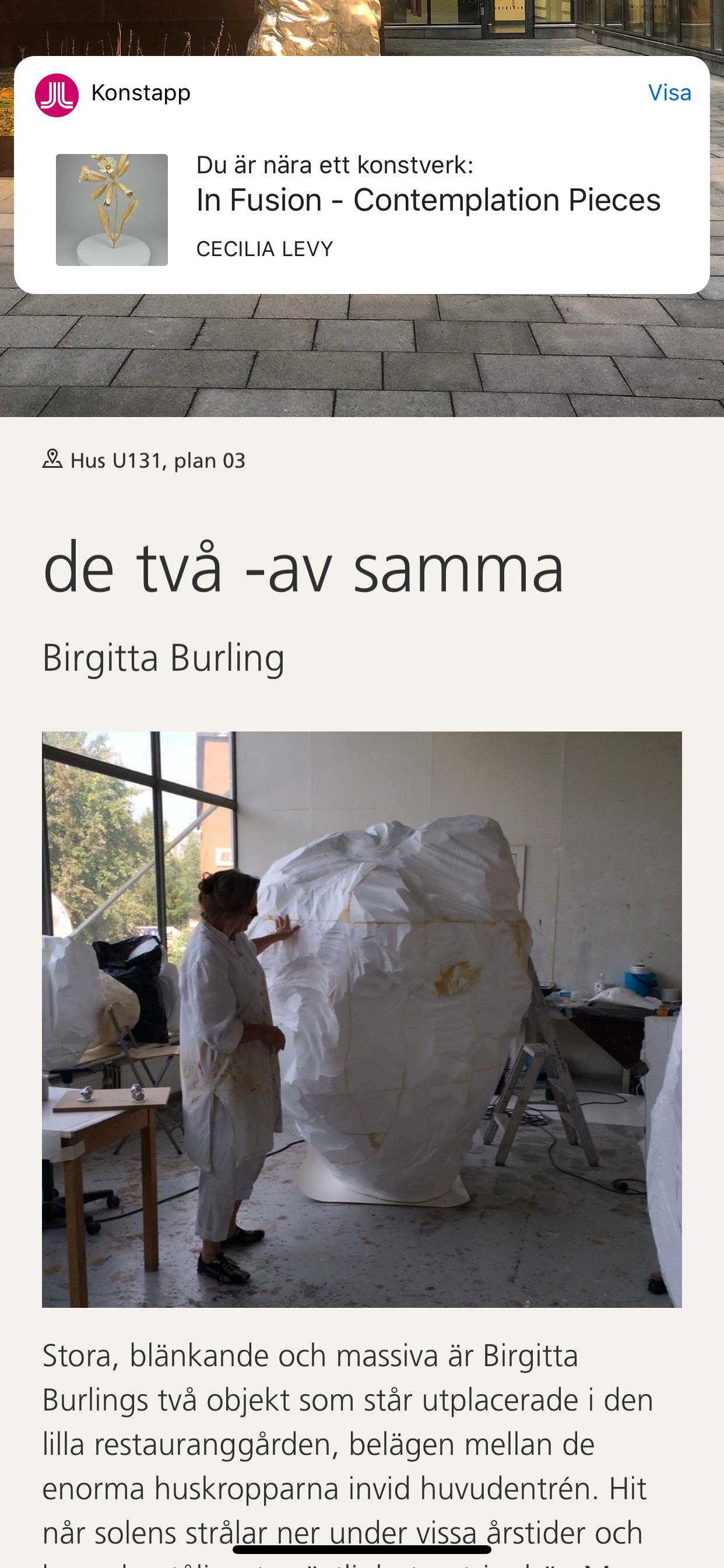 Konstguiden screenshot 7