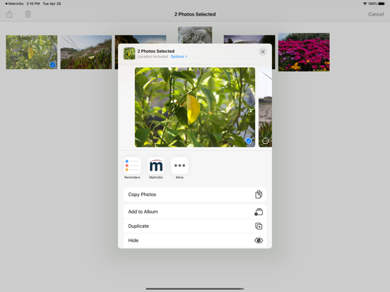 MatrixGo iPad screenshot 7 - Productivity app