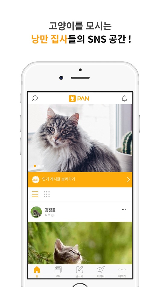 고양이 판 - 낭만 집사 SNS - 3.0.2 - (iOS)