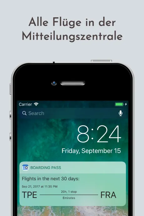 Boarding Pass - Flug Check-in