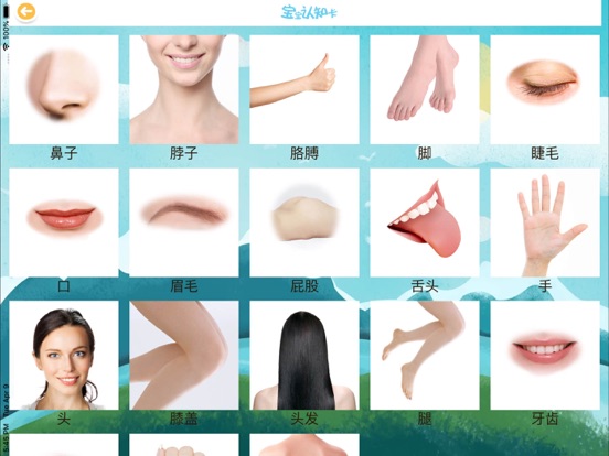 Screenshot #4 pour 宝宝认身体部位-粉红小猪爱玩的儿童游戏多多