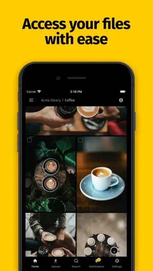 Pics.io screenshot 1