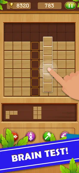 Game screenshot Wood Block Puzzel hack