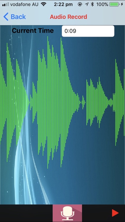 Audio-Record screenshot-4