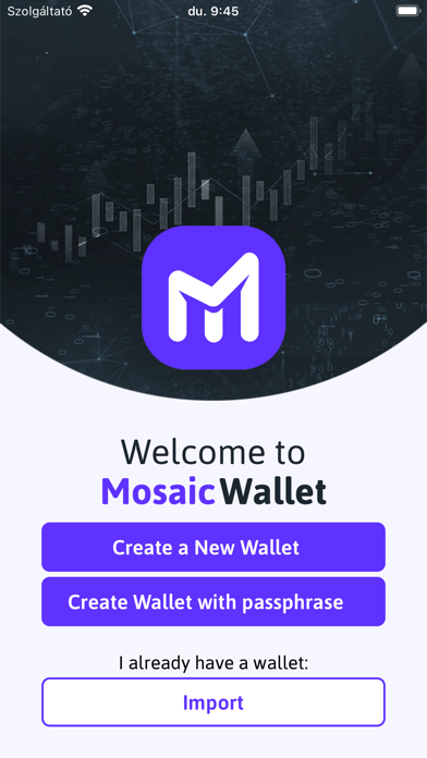 Mosaic Wallet Application Screenshot