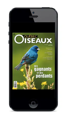 Game screenshot Magazine QuébecOiseaux mod apk