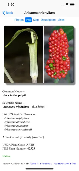 Game screenshot East Texas Wildflowers hack