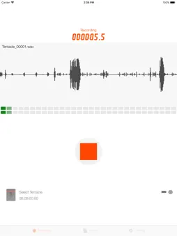Timecode Audio Recorder screenshot 4