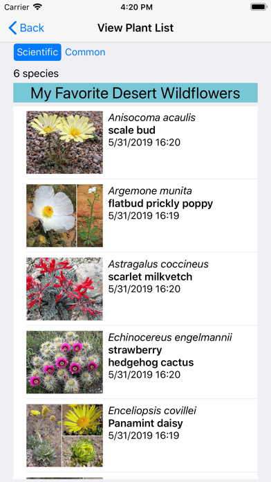 Death Valley Wildflower Search Screenshot