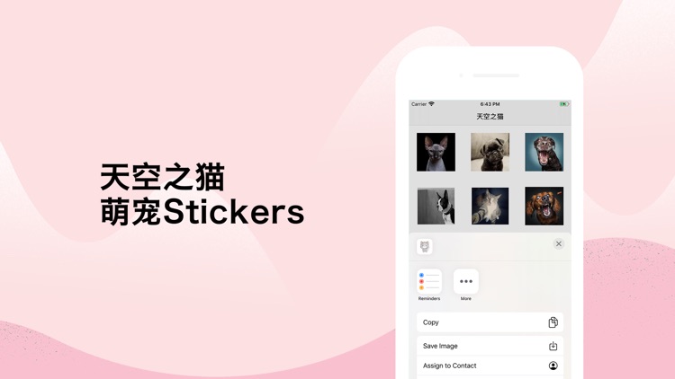 天空之猫 - 萌宠Stickers