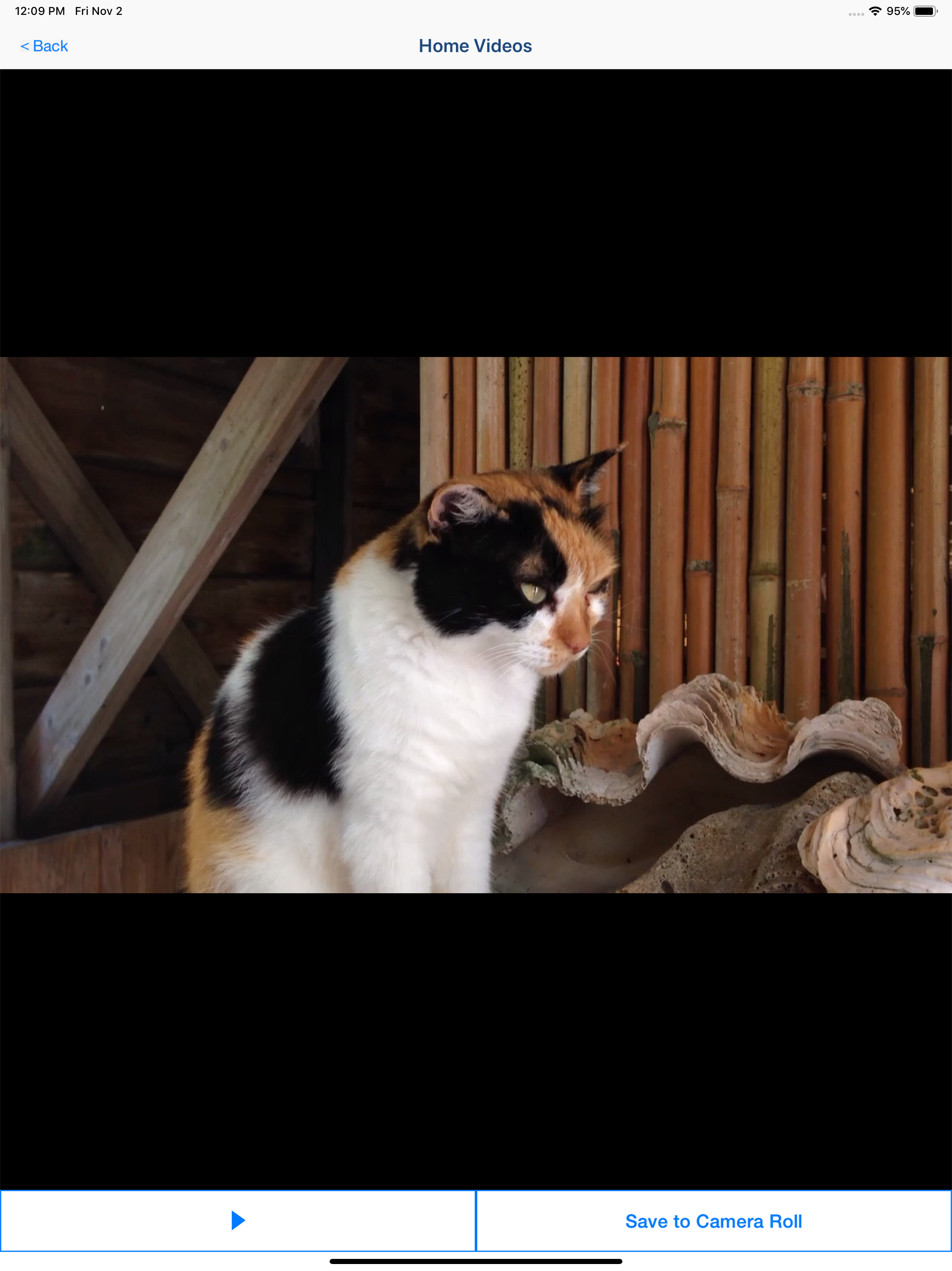 Video 2 CameraRoll  Home Video