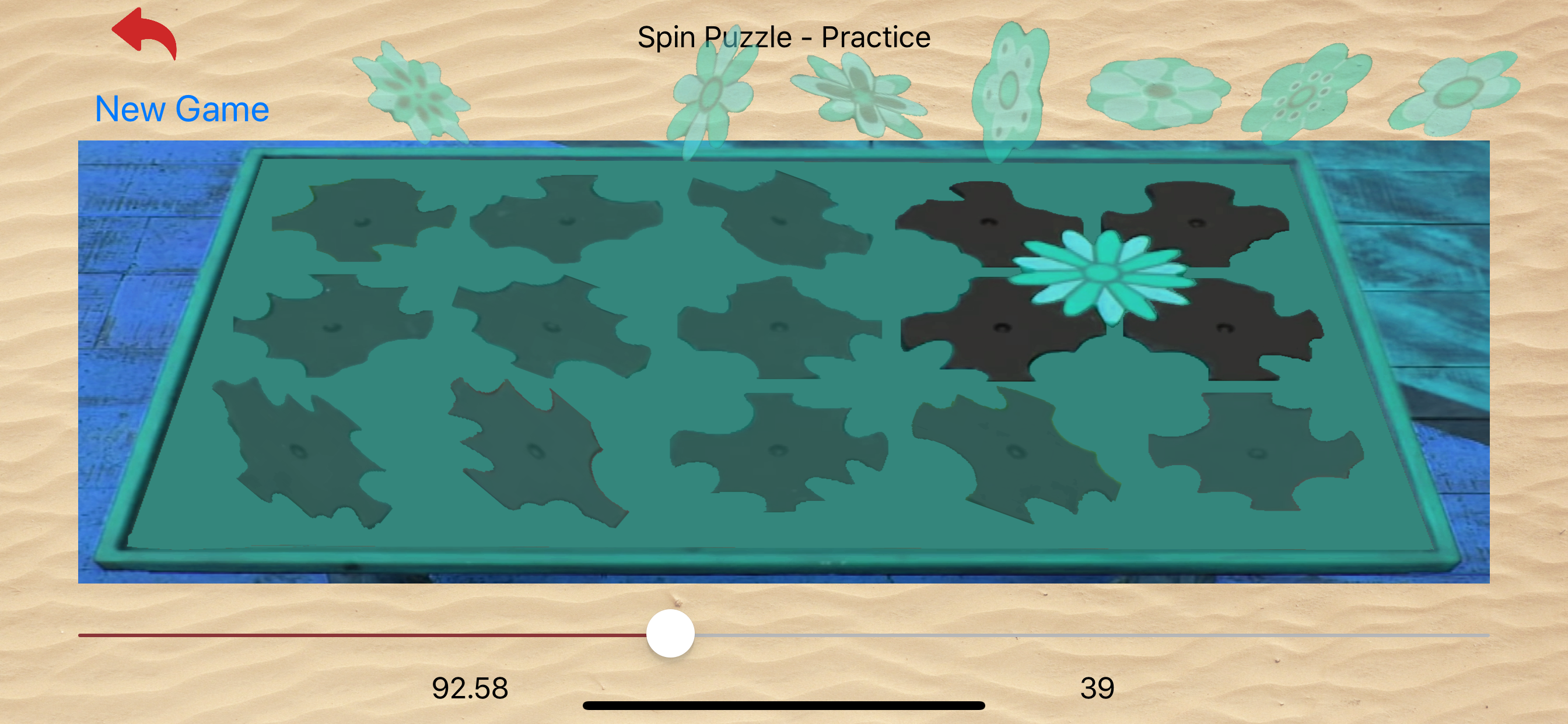 Puzzle Cluster from Survivor