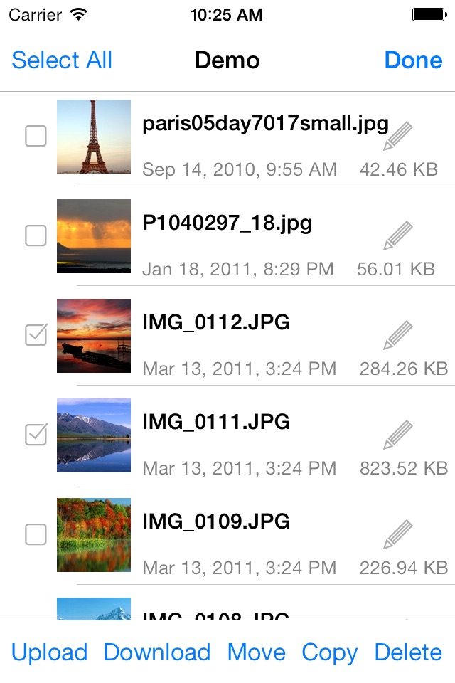 Remote File Manager Basic screenshot 4