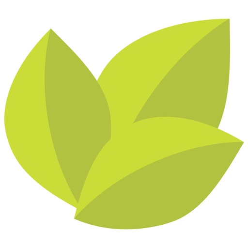 Envolve - School App