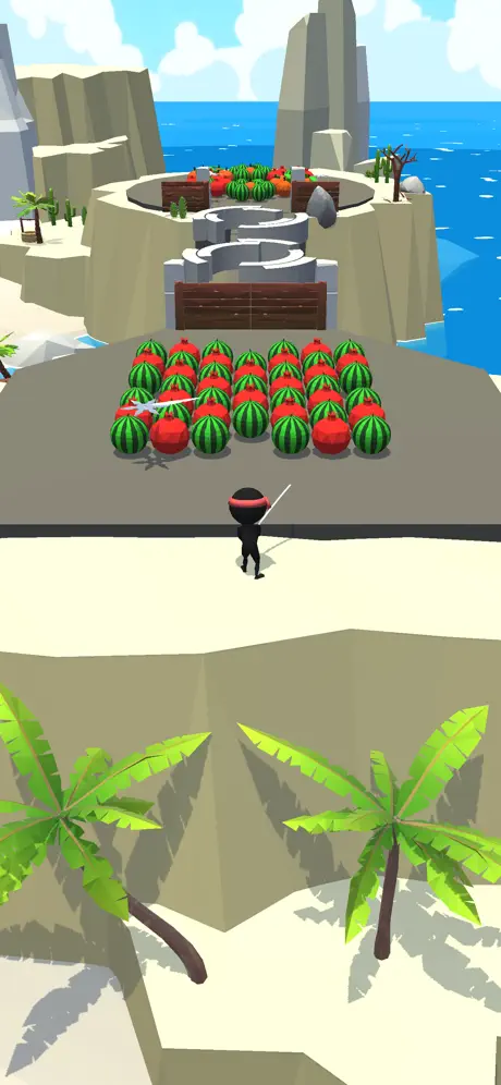 Crazy Ninja!